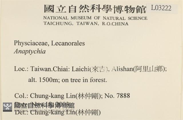 登錄號:L00003222藏品圖，第2張