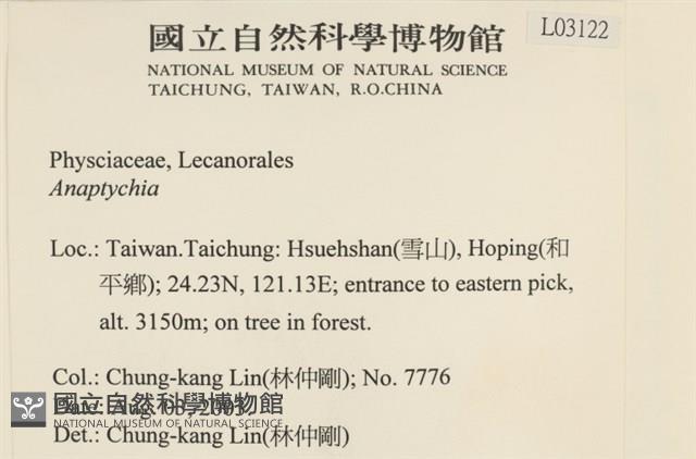 登錄號:L00003122藏品圖，第2張