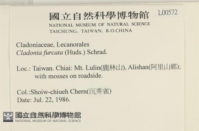 登錄號:L00000572藏品圖，第2張