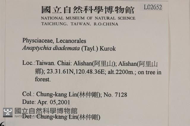 登錄號:L00002652藏品圖，第2張