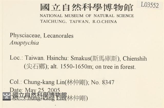 登錄號:L00003552藏品圖，第2張