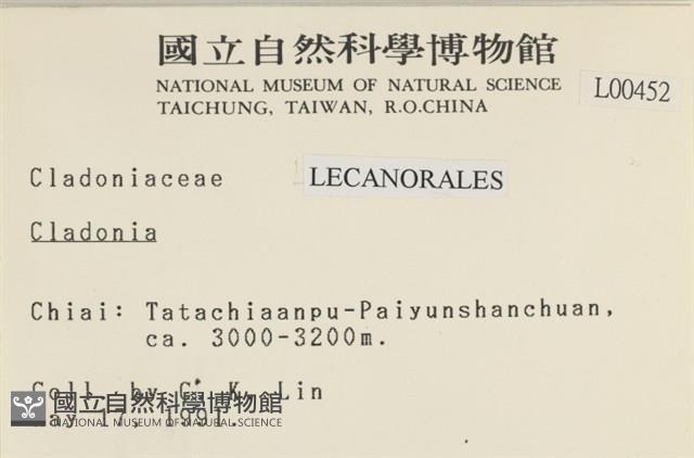 登錄號:L00000452藏品圖，第2張