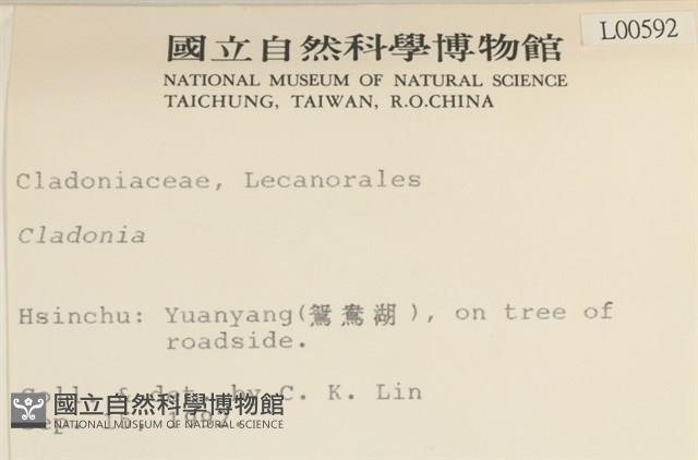 登錄號:L00000592藏品圖，第2張