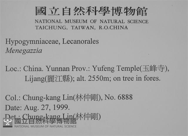 登錄號:L00002392藏品圖，第2張