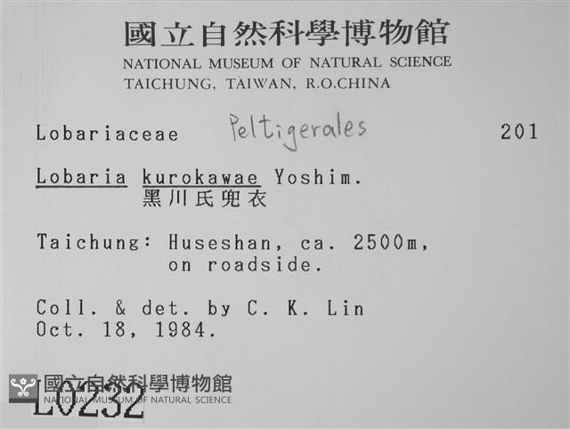 黑川氏兜衣藏品圖，第2張