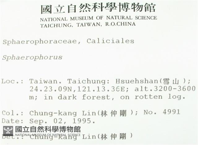 登錄號:L00001432藏品圖，第2張