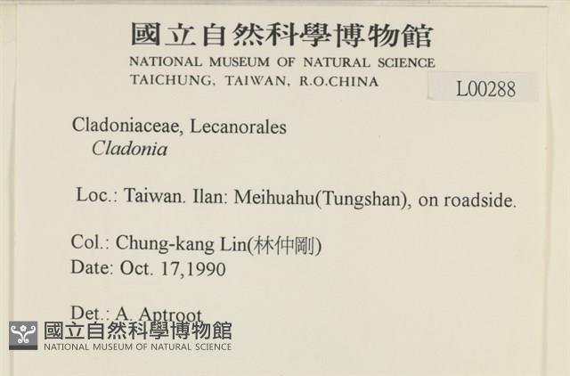 登錄號:L00000288藏品圖，第2張