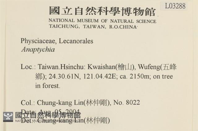 登錄號:L00003288藏品圖，第2張