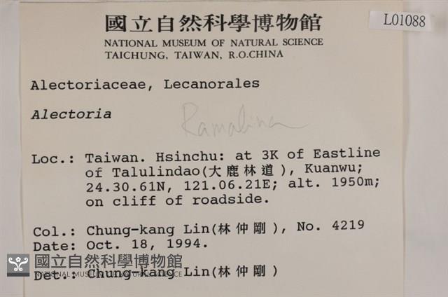 登錄號:L00001088藏品圖，第2張