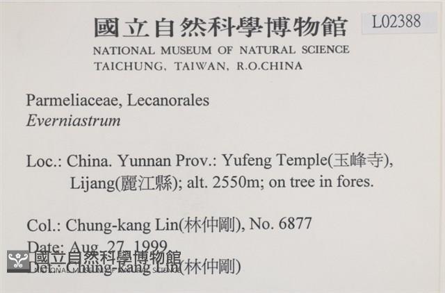 登錄號:L00002388藏品圖，第2張