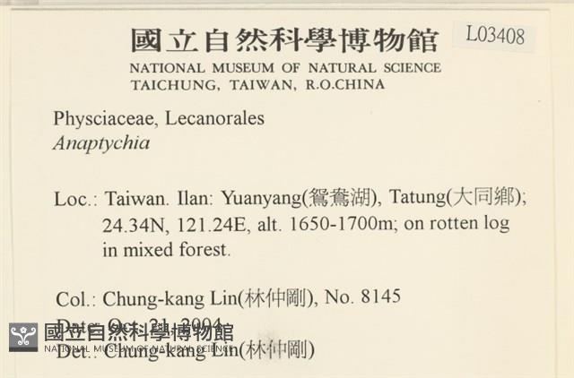 登錄號:L00003408藏品圖，第2張