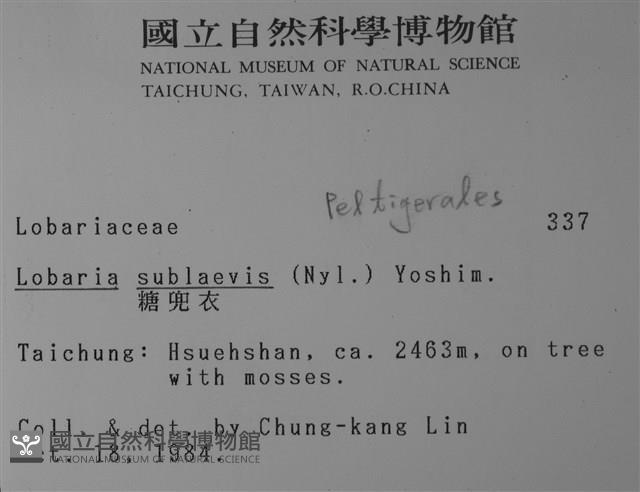 糖兜衣藏品圖，第2張