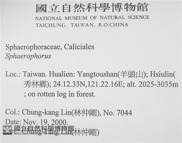 登錄號:L00002568藏品圖，第2張