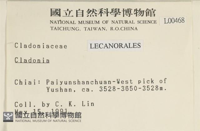 登錄號:L00000468藏品圖，第2張