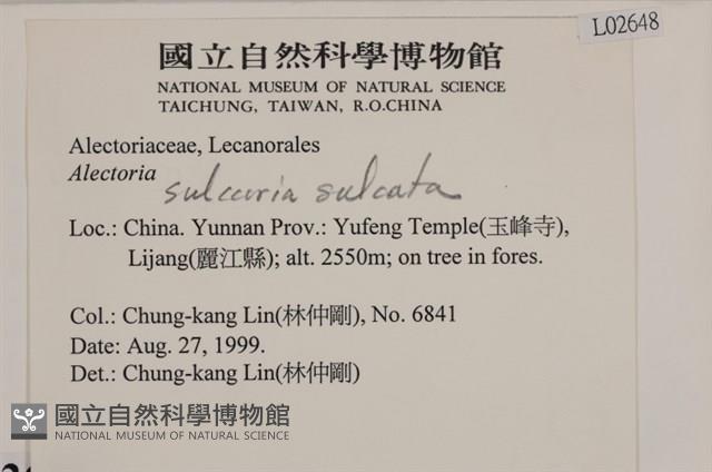 登錄號:L00002648藏品圖，第2張