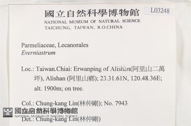 登錄號:L00003248藏品圖，第2張