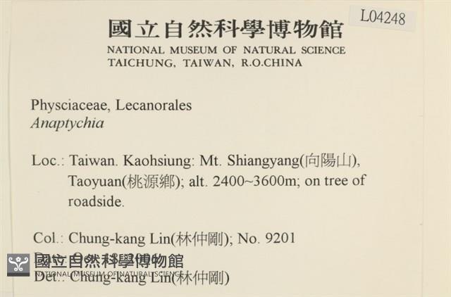登錄號:L00004248藏品圖，第2張