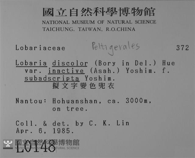 擬文字變色兜衣藏品圖，第2張