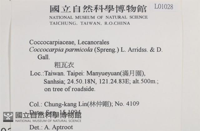 粗瓦衣藏品圖，第2張