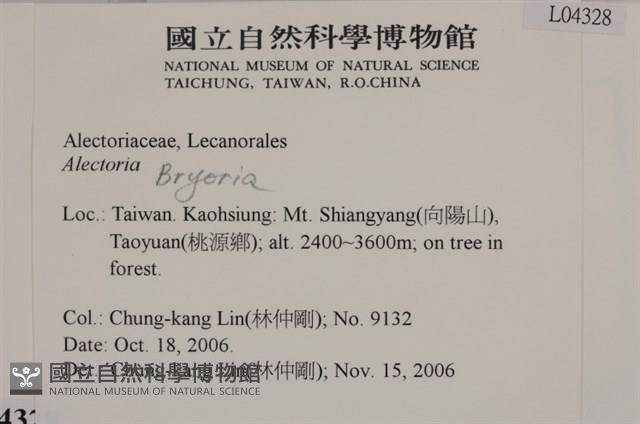 登錄號:L00004328藏品圖，第2張