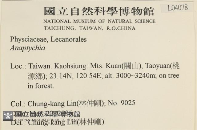 登錄號:L00004078藏品圖，第2張