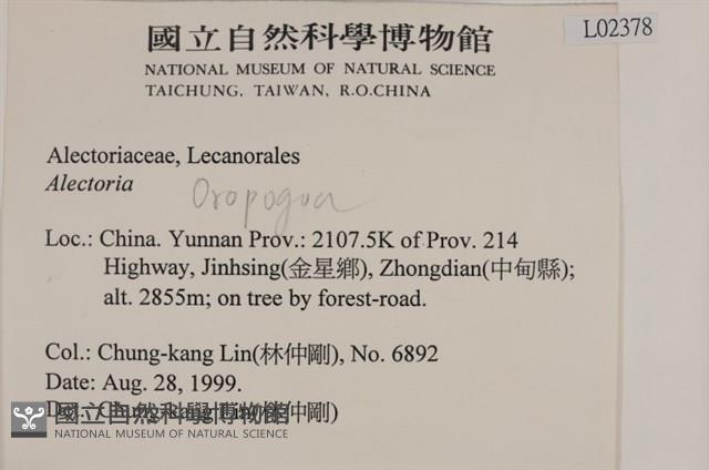 登錄號:L00002378藏品圖，第2張