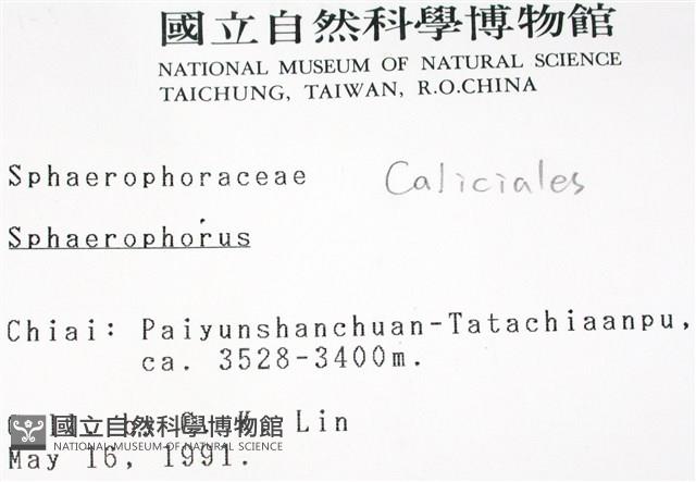 登錄號:L00000458藏品圖，第2張