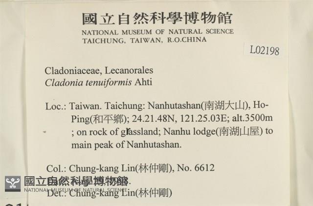 登錄號:L00002198藏品圖，第2張