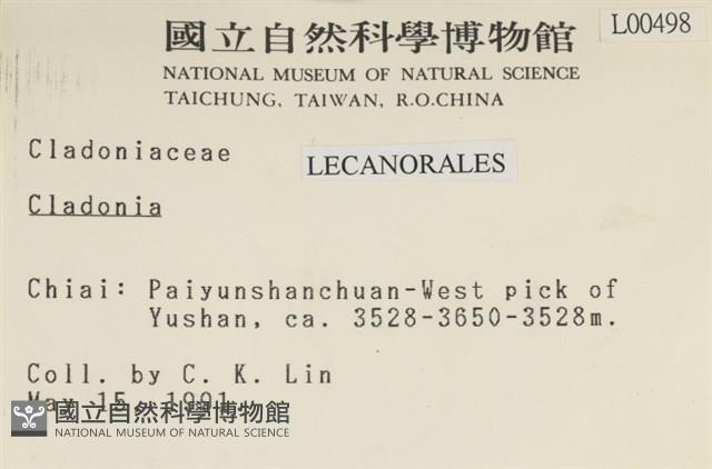 登錄號:L00000498藏品圖，第2張