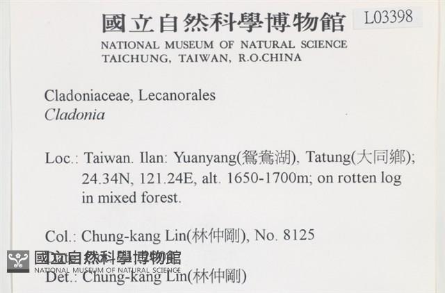 登錄號:L00003398藏品圖，第2張