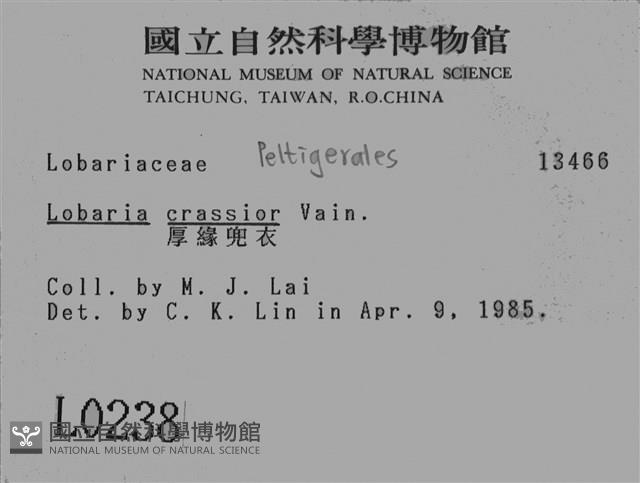 厚兜衣藏品圖，第2張