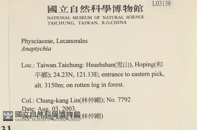 登錄號:L00003138藏品圖，第2張