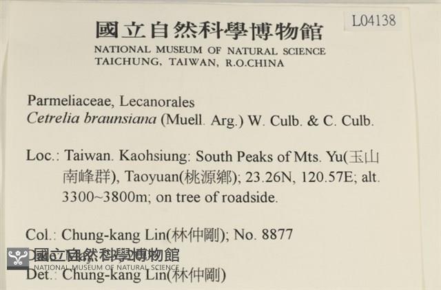 登錄號:L00004138藏品圖，第2張