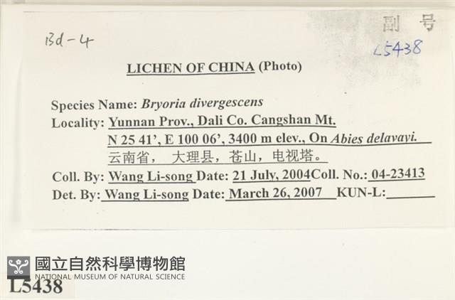 登錄號:L00005438藏品圖，第2張