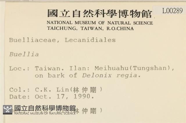 登錄號:L00000289藏品圖，第2張