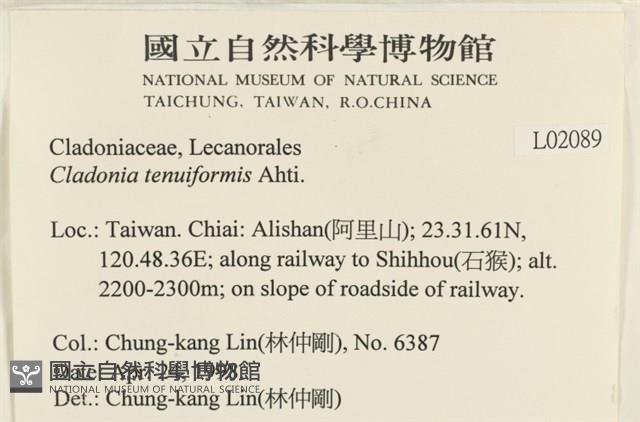 登錄號:L00002089藏品圖，第2張