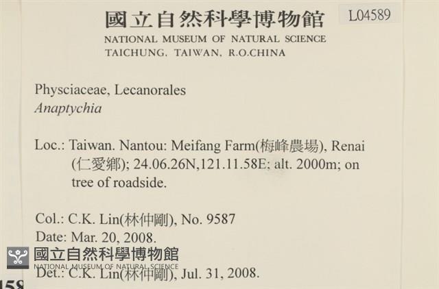 登錄號:L00004589藏品圖，第2張