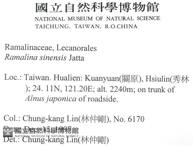 登錄號:L00002009藏品圖，第2張