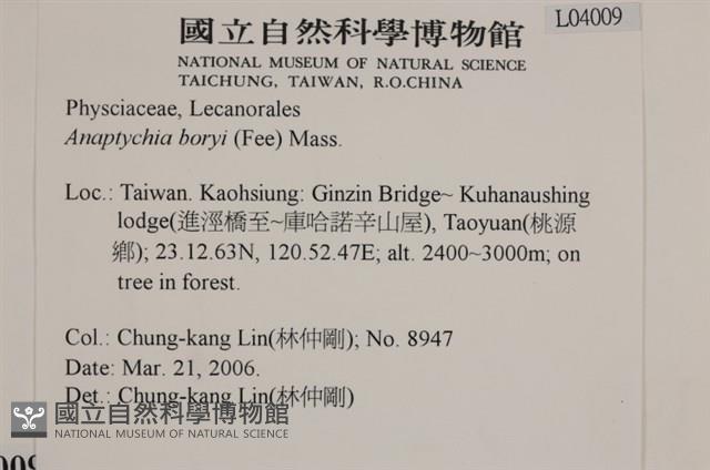 登錄號:L00004009藏品圖，第2張