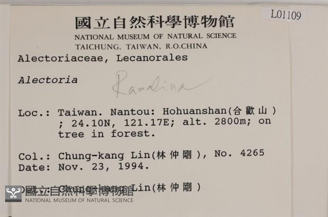 登錄號:L00001109藏品圖，第2張