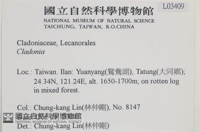 登錄號:L00003409藏品圖，第2張