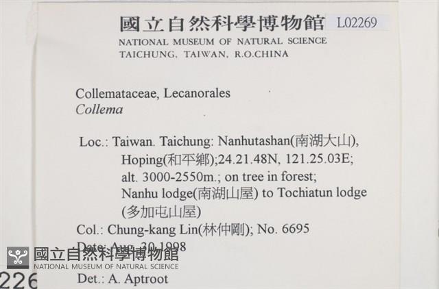 登錄號:L00002269藏品圖，第2張