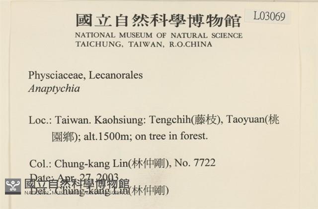 登錄號:L00003069藏品圖，第2張