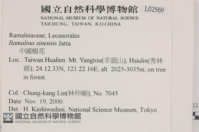 登錄號:L00002569藏品圖，第2張