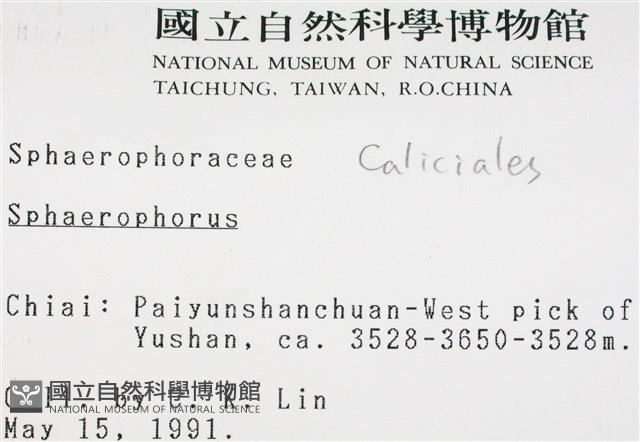 登錄號:L00000469藏品圖，第2張