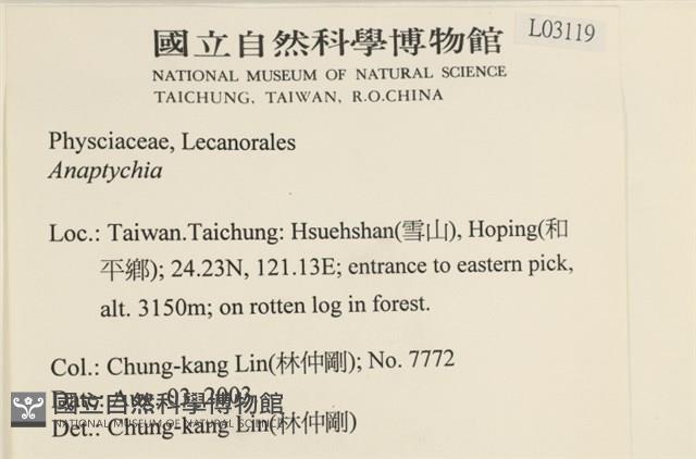 登錄號:L00003119藏品圖，第2張