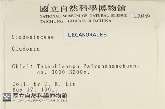 登錄號:L00000449藏品圖，第2張