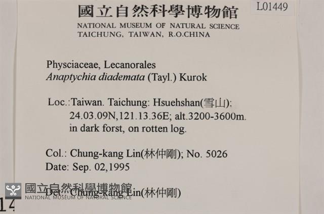 登錄號:L00001449藏品圖，第2張