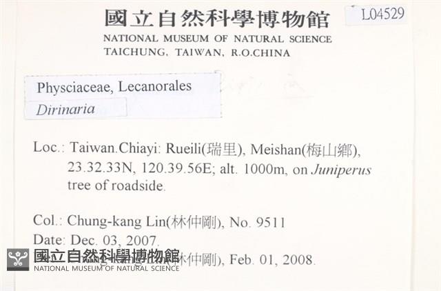 登錄號:L00004529藏品圖，第2張