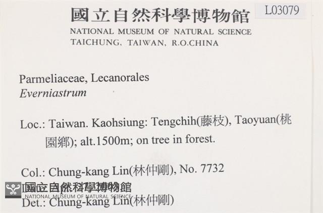 登錄號:L00003079藏品圖，第2張